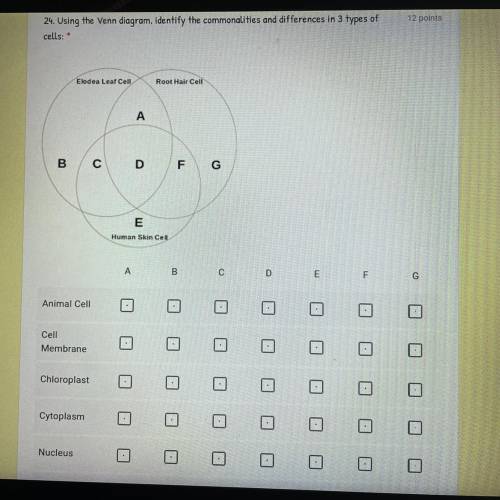 Using the venn diagram, identify the commonalities and differences in the 3 types of cells