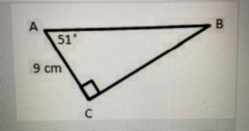 What is the perimeter of the right triangle? Round to the nearest tenth of a centimeter.

A. 25.4c