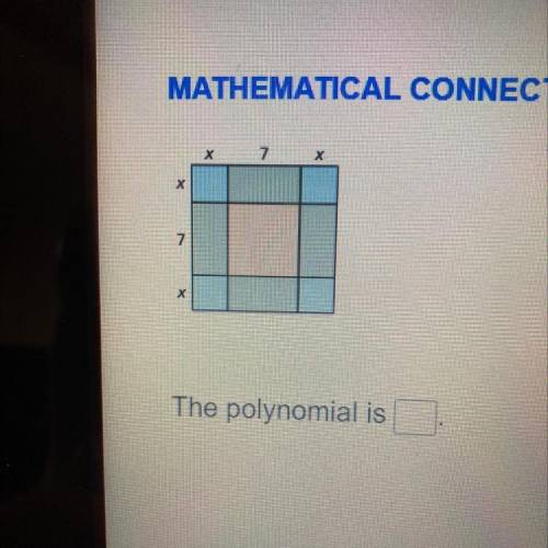 Write a polynomial that represents the area of the sqaure