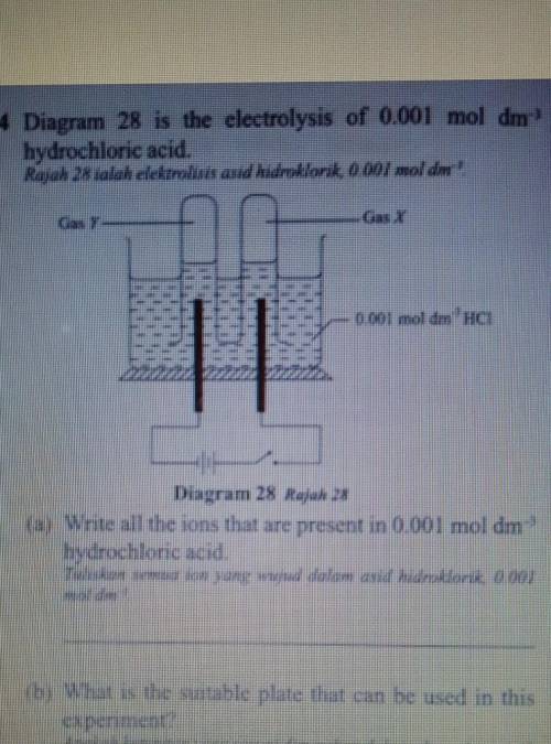 Guys plz explain and answer this question for me​