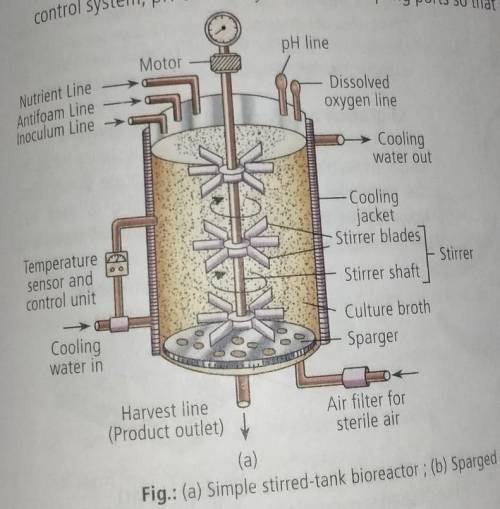 Explain this diagram , confused a lot....​