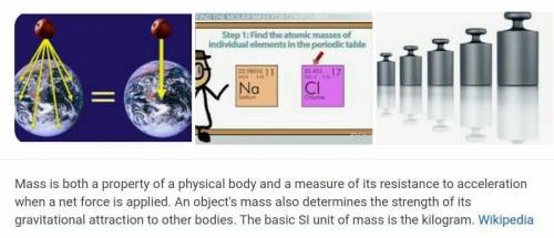 What is matter and mass ​