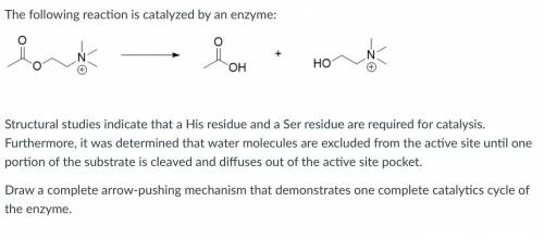 Draw a arrow pushing mechanism that shows one complete catalytics cycle of the enzyme.