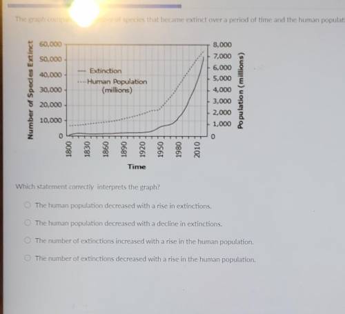 The graph compares the number of species that became extinct over a period of time and the human po