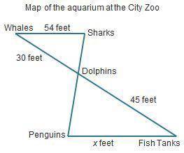 In the map below, the path from the whales to the sharks is parallel to the path from the penguins