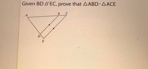 Given BD // EC, prove that Angle ABD~Angle ACE
