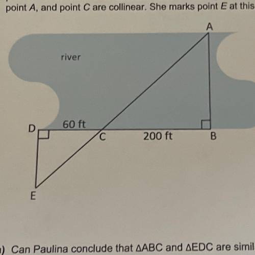 1.

points
Paulina wants to find the width, AB, of a river. She walks along the edge of the river