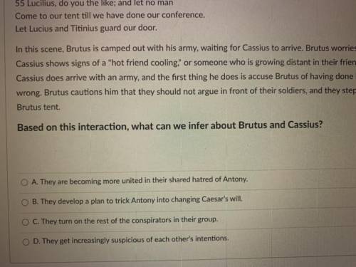 Based on this interaction, what can we infer about Brutus and Cassius?