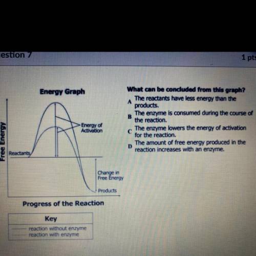Energy Graph

What can be concluded from this graph?
The reactants have less energy than the
А
pro