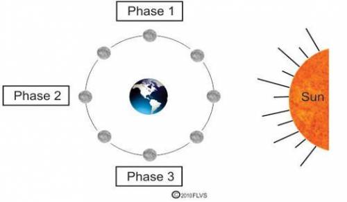 40 points and brainliest! The diagram below shows three phases of the moon.

Which of these models