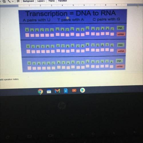 2

34.5
6
7.8.9.
Transcription = DNA to RNA
A pairs with U
T pan's with A
C pairs with G
А
G
A
G
C