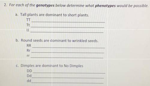 2. For each of the genotypes below determine what phenotypes would be possible.

a. Tall plants ar
