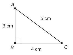 What is the measure of angle A?
Round only your final answer to the nearest hundredth.