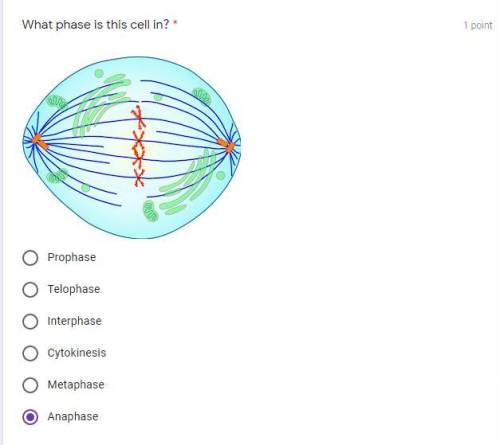 During which phase to chromosomes first become visible? *

Prophase
Telophase
Interphase
Cytokines
