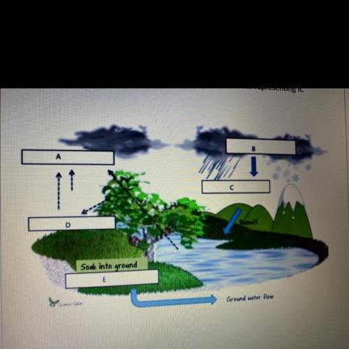 Water cycle diagram, need help labeling it