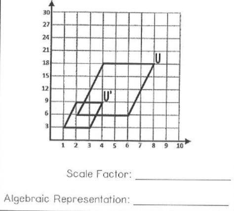 What scale factor was used and what is the algebraic expression?