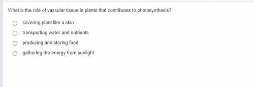 What is the role of vascular tissue in plants that contributes to photosynthesis?

A. covering pla