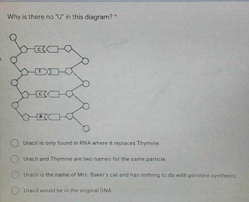 Why is there no U in this diagram?​help. this determines if I pass or fail.