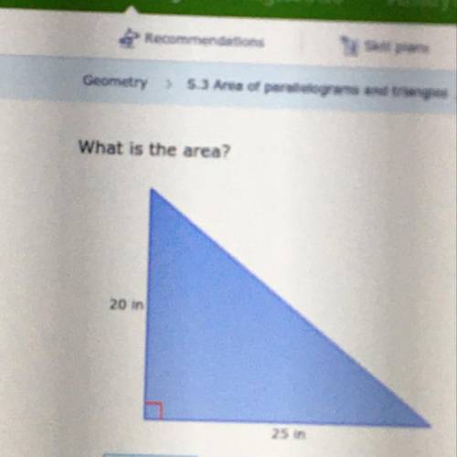 What is the area?
20 in
25 in
square inches
