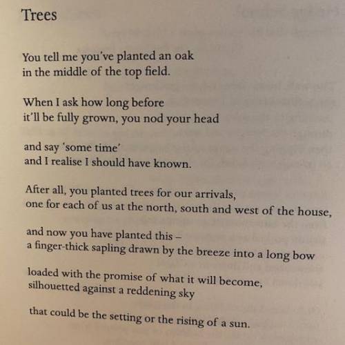 What is the theme of trees by owen sheers
