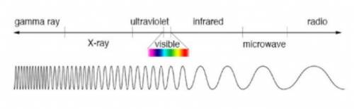 I really need help please help;(

The diagram shows the electromagnetic spectrum. Based on the dia