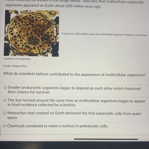 What do scientists believe contributed to the appearance of multicellular organisms?