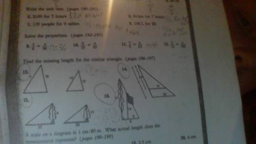 Can you answer these 4 similar triangle questions please i just want to go to bed

If you cant see