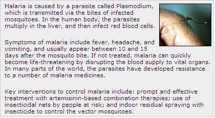 What is the main purpose of this article?

a. To tell how many people die from malaria a year 
c.