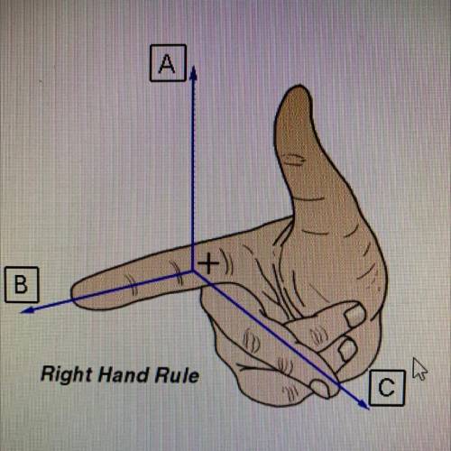 Click on the boxes below to identify the vector associated with each labeled finger position.
