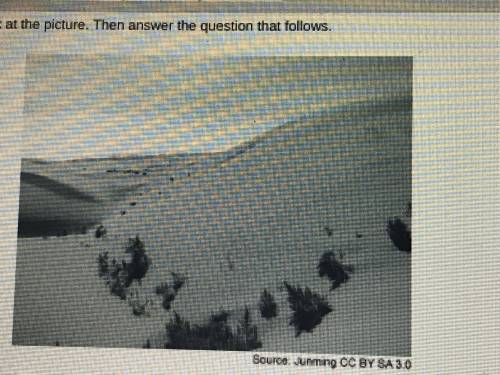 Look at the picture. then answer the question that follows.

Question: this picture shows a desert