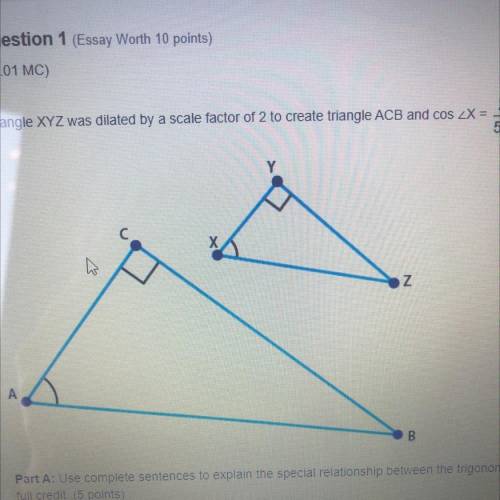 PLS NEED THIS ASAP

Triangle XYZ was dilated by a scale factor of two to create triangle ABC and c