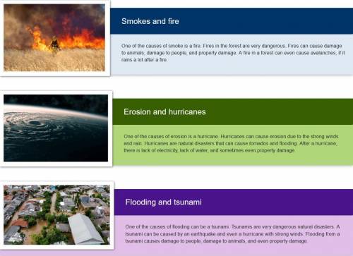 Write a persuasive essay IN SPANISH about an animal affected by one of natural disasters in the att