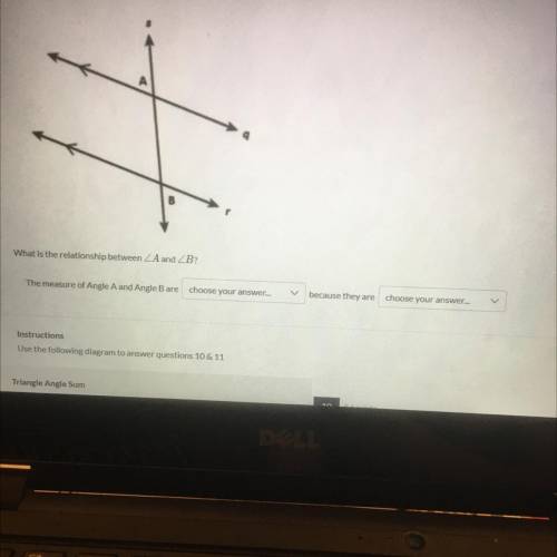 Pls help me

A
What is the relationship between A and B?
The measure of Angle A and Angle B are ch