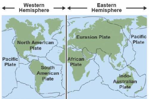 Which plate does not appear in both hemispheres?

Indo-Australian
African
Pacific
Eurasian