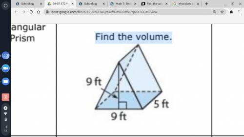 Find the volume of this triangular prism.