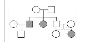 What is the pattern of inheritance shown in the pedigree?

Group of answer choices
autosomal reces