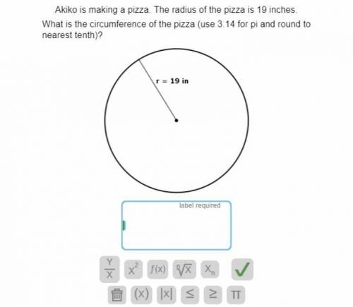Akiko is making a pizza. The radius of the pizza is 19 inches. What is the circumference of the piz