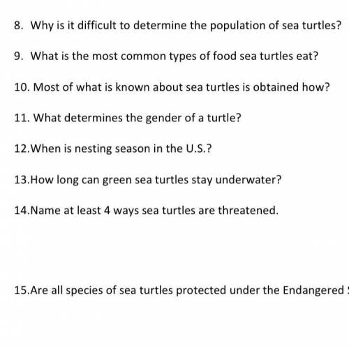Why is it difficult to determine the population of sea turtles