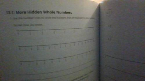 Use the number line to circle the fractions that are equivalent to whole numbers

Explain how you
