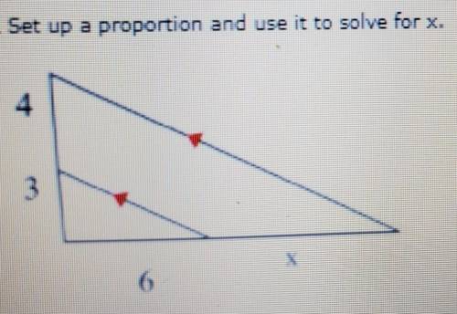 Set up a proportion and use it to solve for x​