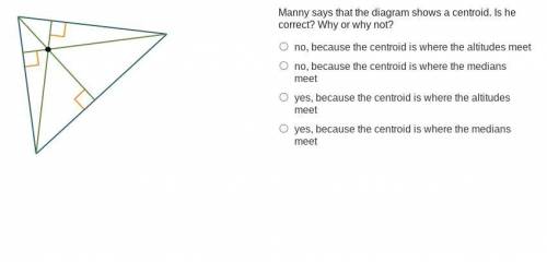 Manny says that the diagram shows a centroid. Is he correct? Why or why not?