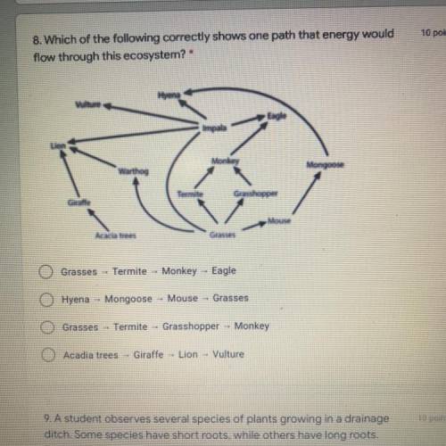 8. Which of the following correctly shows one path that energy would

flow through this ecosystem?