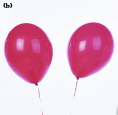 In this picture, the two balloons are repelling each other.

How was this force of repulsion produ