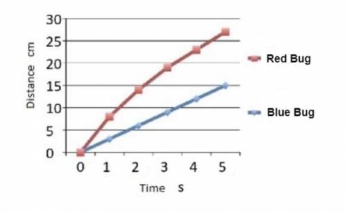 Compare the graphs of BLUE BUG and RED BUG. Which bug traveled at a constant speed?

Choices: 
A: