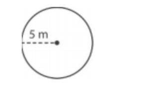 HURRY! What is the circumference of the circle below? Use 3.14 for π.