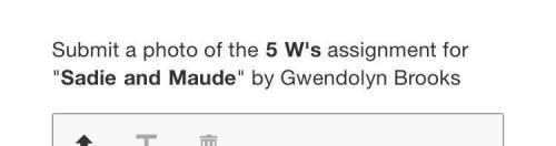 Submit a photo of the 5 W's assignment for Sadie and Maude by Gwendolyn Brooks ?

Who-
What -
Wh