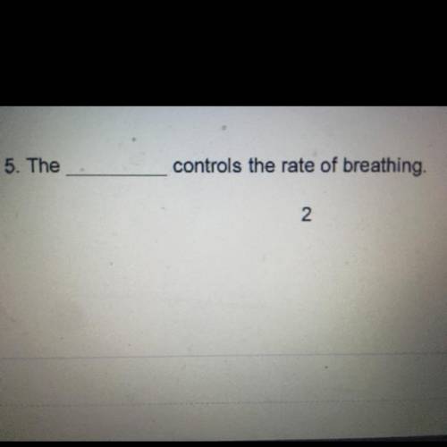 5. The ____
controls the rate of breathing.
