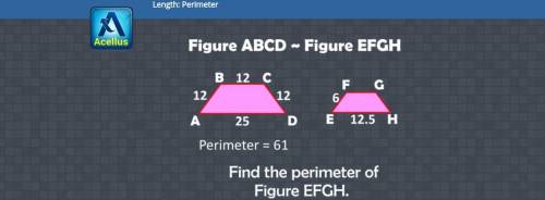Find the perimeter of EFGH,
