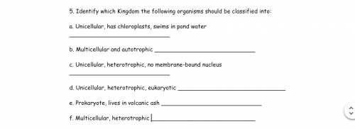 Identify which Kingdom the following organisms should be classified into:
