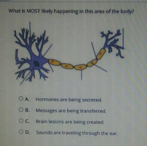 Hey, can someone help me with this question? (psychology)

what is MOST likely happening in this a